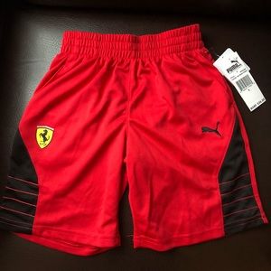 puma ferrari shorts brown